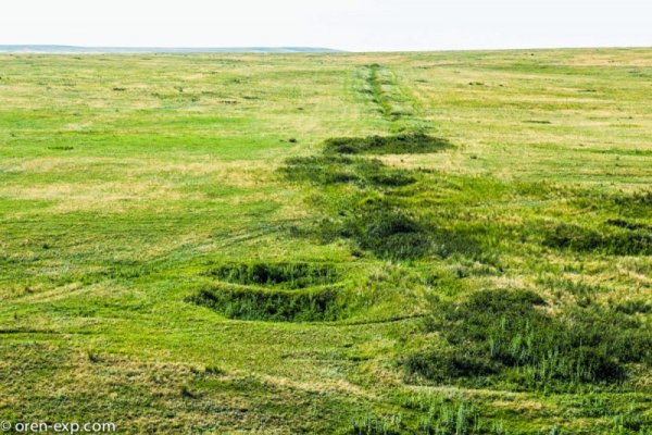 Кракен даркнет тор