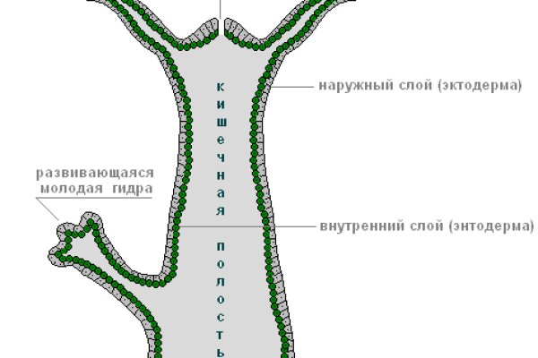 Удалился аккаунт кракен